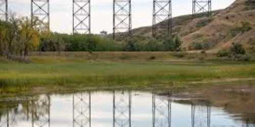 Elizabeth Hall Wetlands Nature Walk