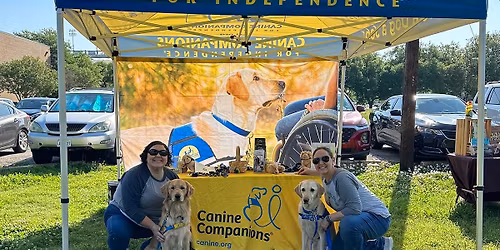 Parking The Christi Show