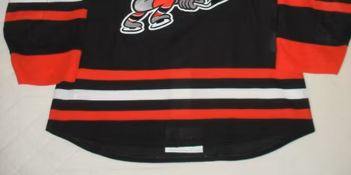 Ottawa 67s at Niagara IceDogs at Meridian Centre