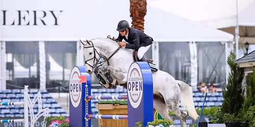 Parking - International Show Jumping - The Big Ben Challenge