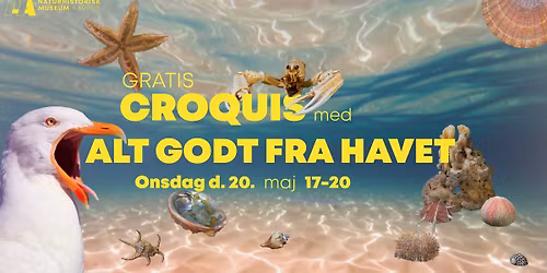 GRATIS! Croquis med 'alt godt fra havet'