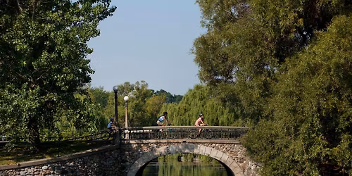 Glebe Central Park Photo Walk