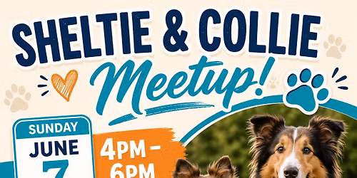\ud83d\udc3e SHELTIES & COLLIES MEETUP \ud83d\udc3e