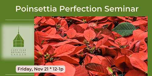 Poinsettia Perfection Seminar at the Garden