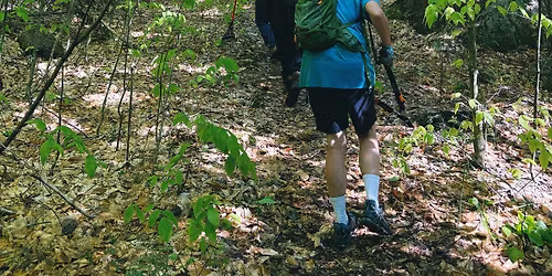 Thurley Preserve Spring Clean-Up