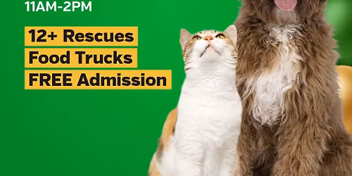 BEST ADOPTION EVENT EVER!