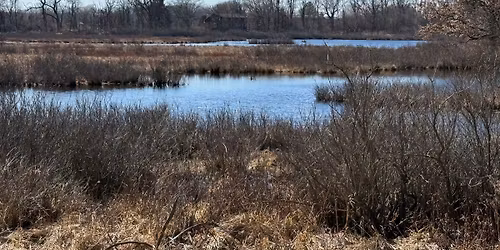 Natural History Tour of Hook Lake