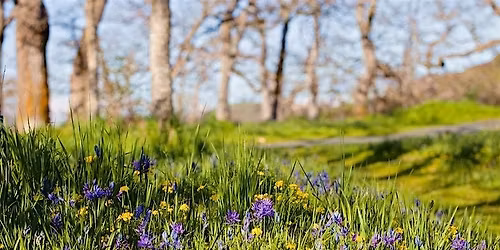 Gardening with Native Plants