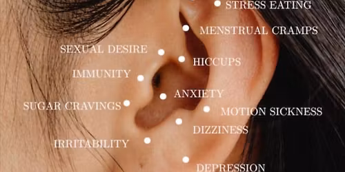 \tEarseeding for Self Cultivation: Hands on Instruction & Everything you need to start!