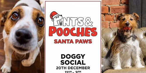 Pints & Pooches | Santa Paws