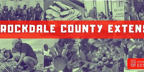 4-H Presents Family Science Night: Let's Rock This