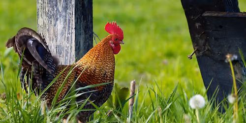 Fall Fest at the Ranch