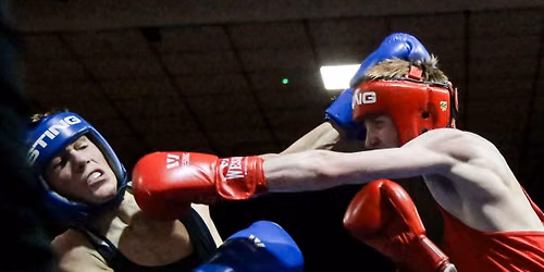 Cuchulainn Boxcup