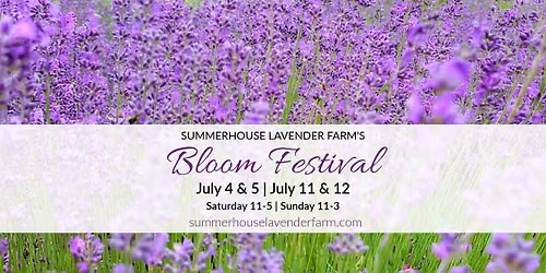 Bloom Festival at Summerhouse Lavender Farm
