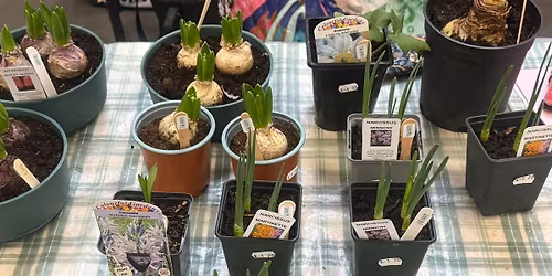 Dorchester Country Market