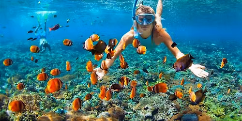 Snorkeling at La Jolla