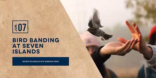 Bird Banding at Seven Islands