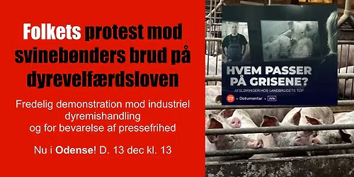 \u2018Hvem passer p\u00e5 grisene?\u2019 - Demonstration i Odense