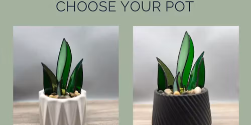 Stained Glass Intro Plant Class 11\/12\/25 No exp necessary