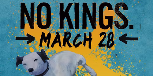 No Kings 3 \u2014 INDIVISIBLE ALBANY