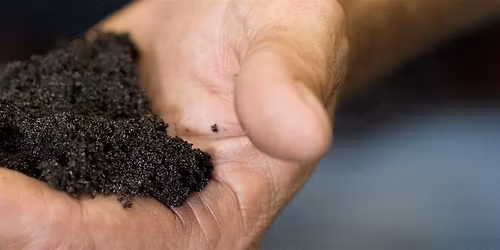 2-4-2026 Gardening in Florida Soil