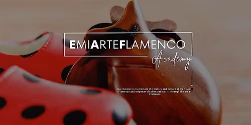 EmiArteFlamenco Fundraiser Night