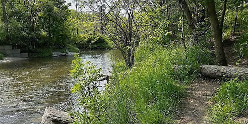 Ravine Stewardship Event in Flemingdon Park