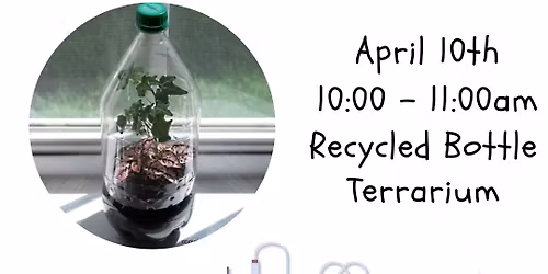 Homeschool Libratory: Recycled Bottle Terrarium