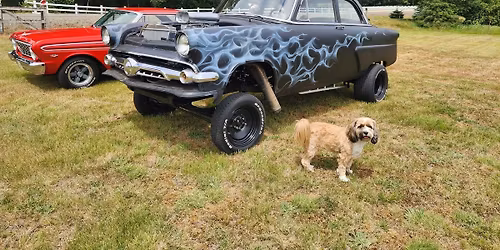 Cars, Burgers and Brats in the Pasture Cruise In