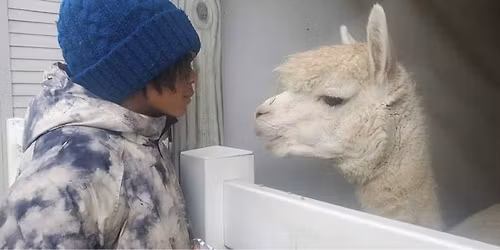 Winter Holidays FREE Open House 3