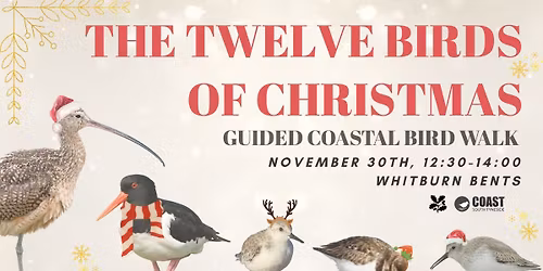 The Twelve Birds of Christmas 