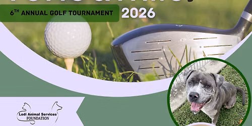 6h Annual LASF Golf tournament