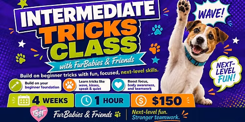 Intermediate Dog Tricks Training Class - 11\/1\/26 - 10:30am - 4 Weeks - $150