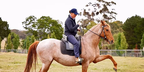 EMPOWERED HORSEMANSHIP Mini Clinics\/Lessons