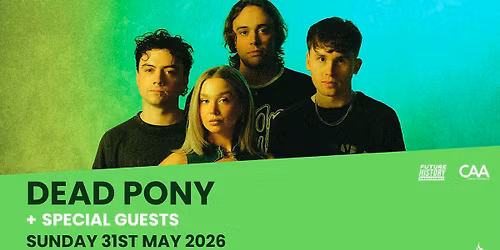 Dead Pony