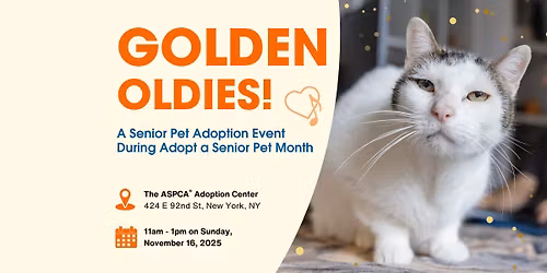 Golden Oldies at the ASPCA Adoption Center