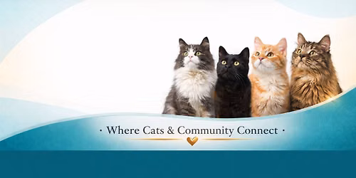 Cat Food & Litter Distribution (Hobart, Lake Station, New Chicago & Portage residents)