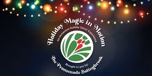 \u2728Holiday Magic in Motion\u2728\u2013 Last 2 Days!