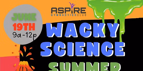 Wacky Science Camp