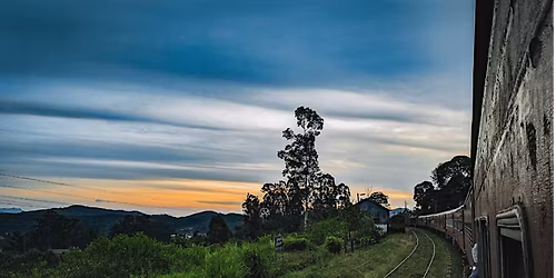 In Other Wor(l)ds: Travelling through translation