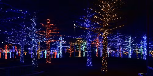 The Alternative Rugby Christmas Light Switch On