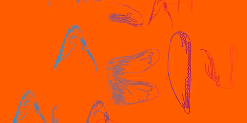 Laine Klubi\u00f6\u00f6: Hassan Abou Alam (EG)