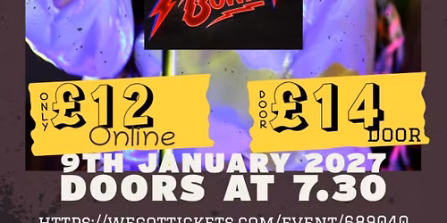 Alassin Sane - Female fronted Tribute to David Bowie