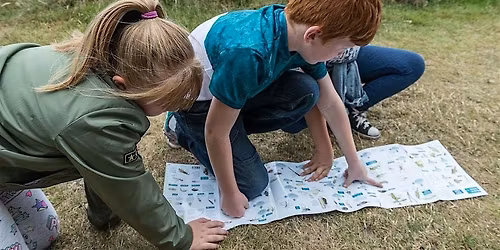 Fingringhoe Wildlife Detective