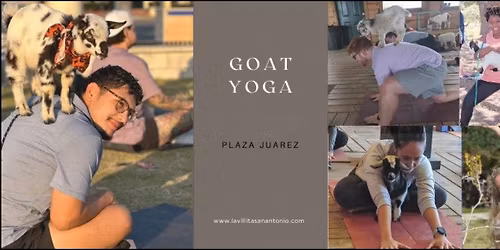 Sana Sunday - GOAT YOGA