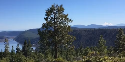 Destination Ride - Spence Mountain, Memorial Weekend