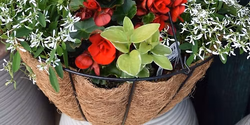Container Porch Pot Workshop 