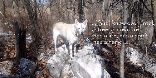 Intro to Reiki Workshop 