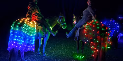 Neon Night Rides at Whispering Woods Riding Stables