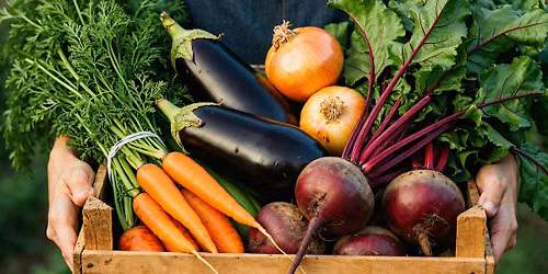 Garden to Glass: Pairing Wine with Fresh Summer Produce